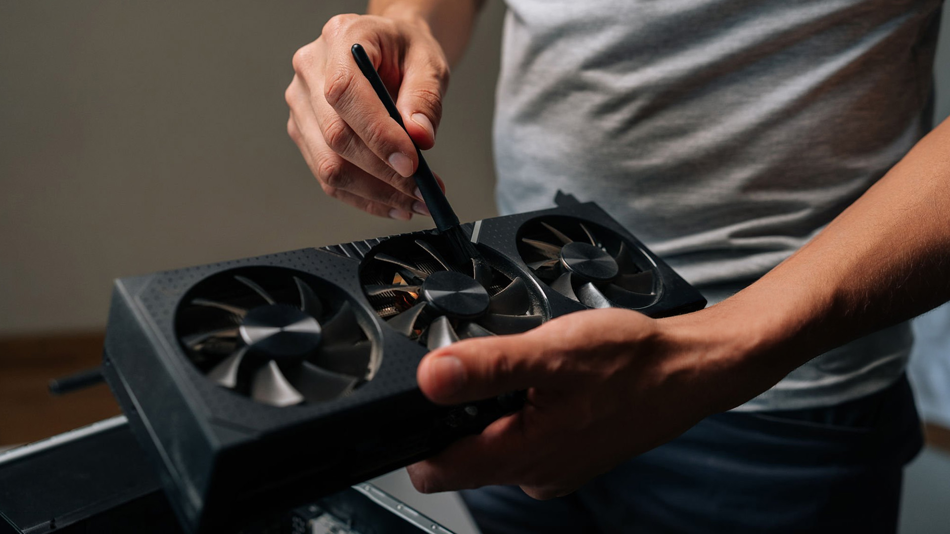 Cleaning dust from graphics card fans with a small brush.