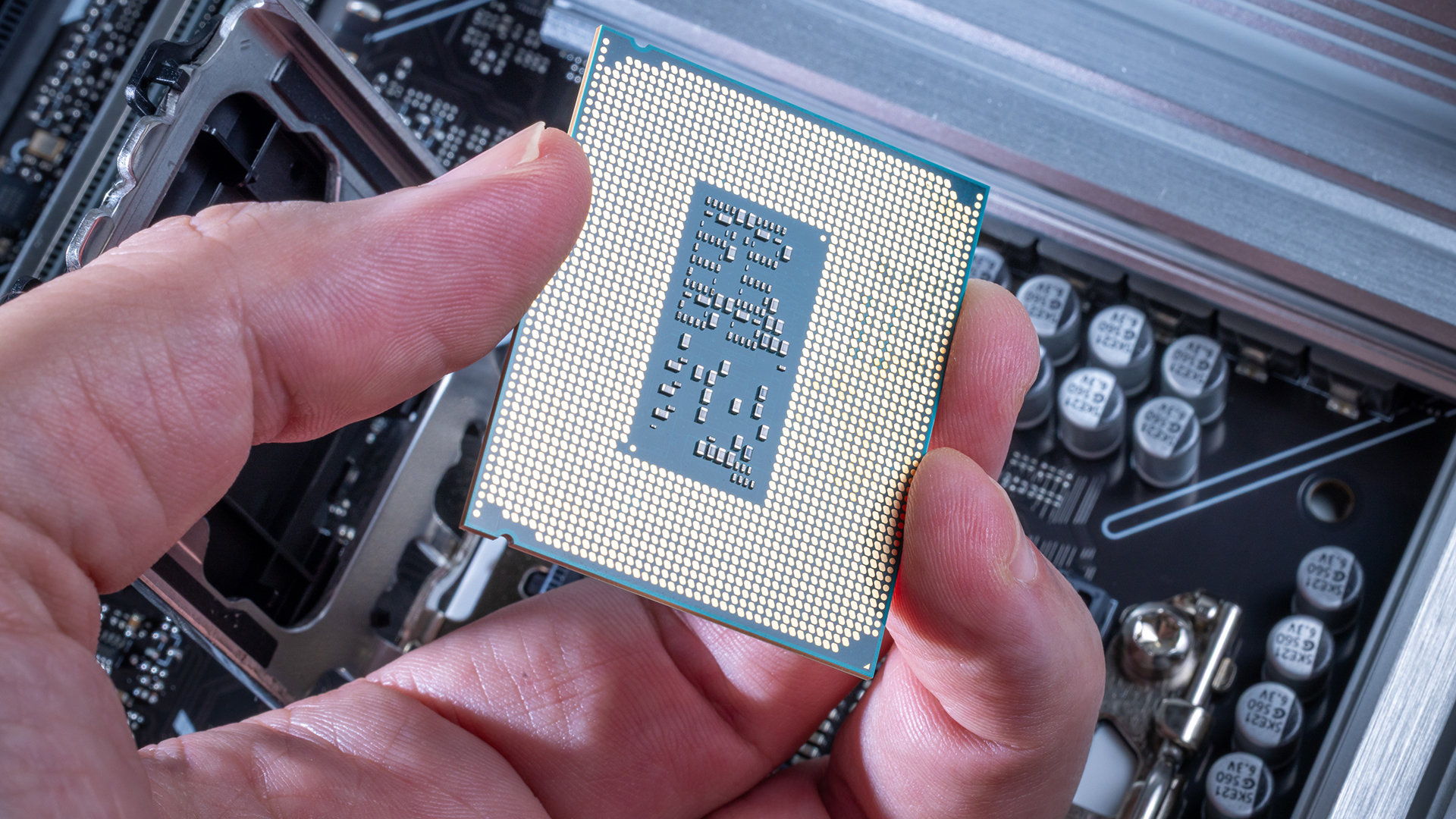 A person holding a computer processor above the motherboard socket.