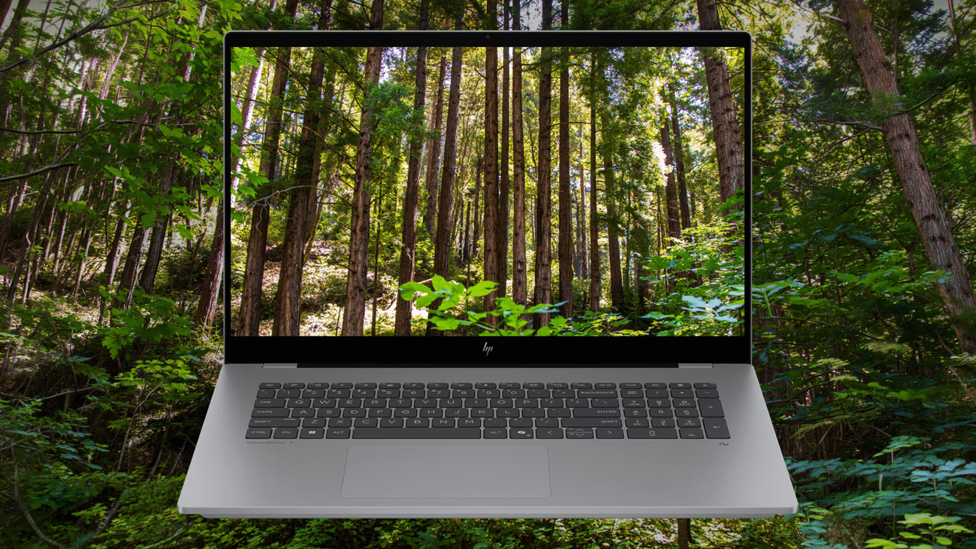 Front view of an HP OmniBook laptop displaying a green forest nature wallpaper.