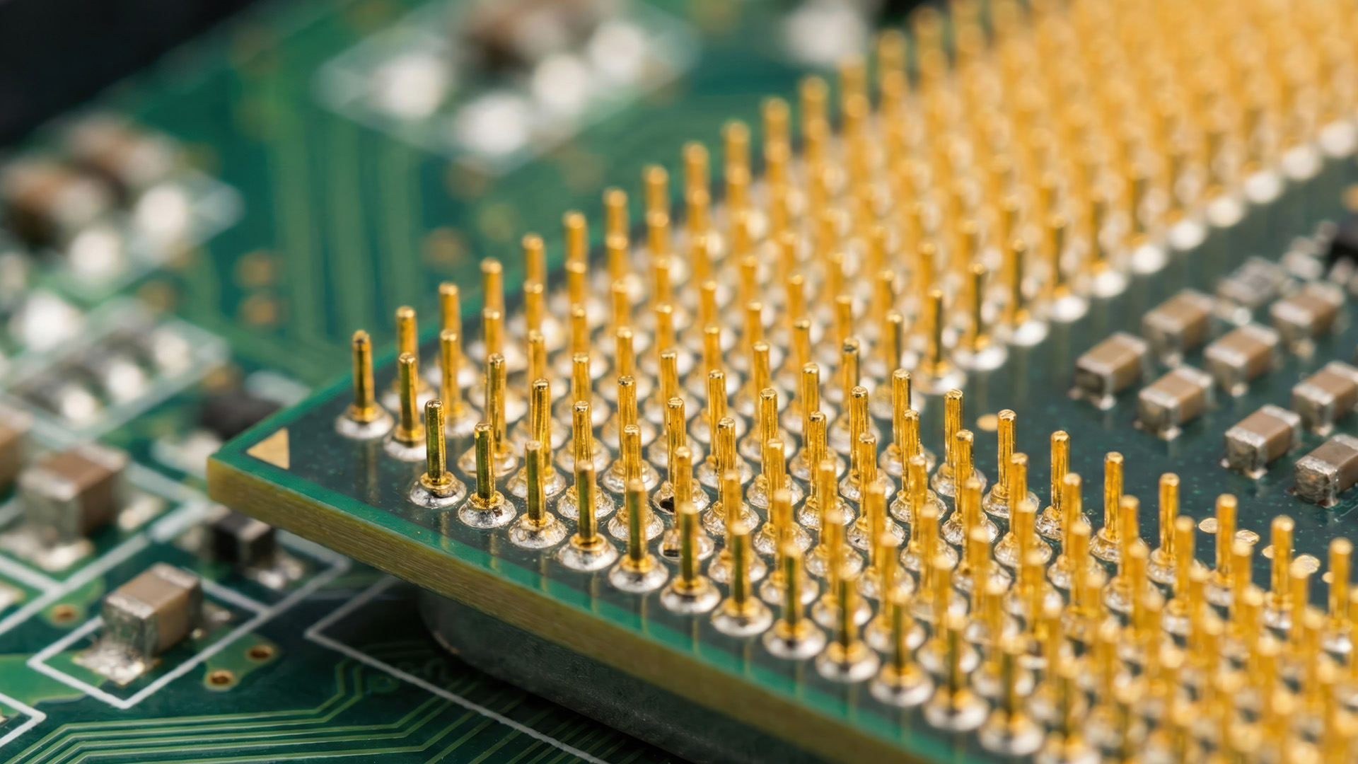A macro photograph focusing on the aligned gold pins of a computer processor.