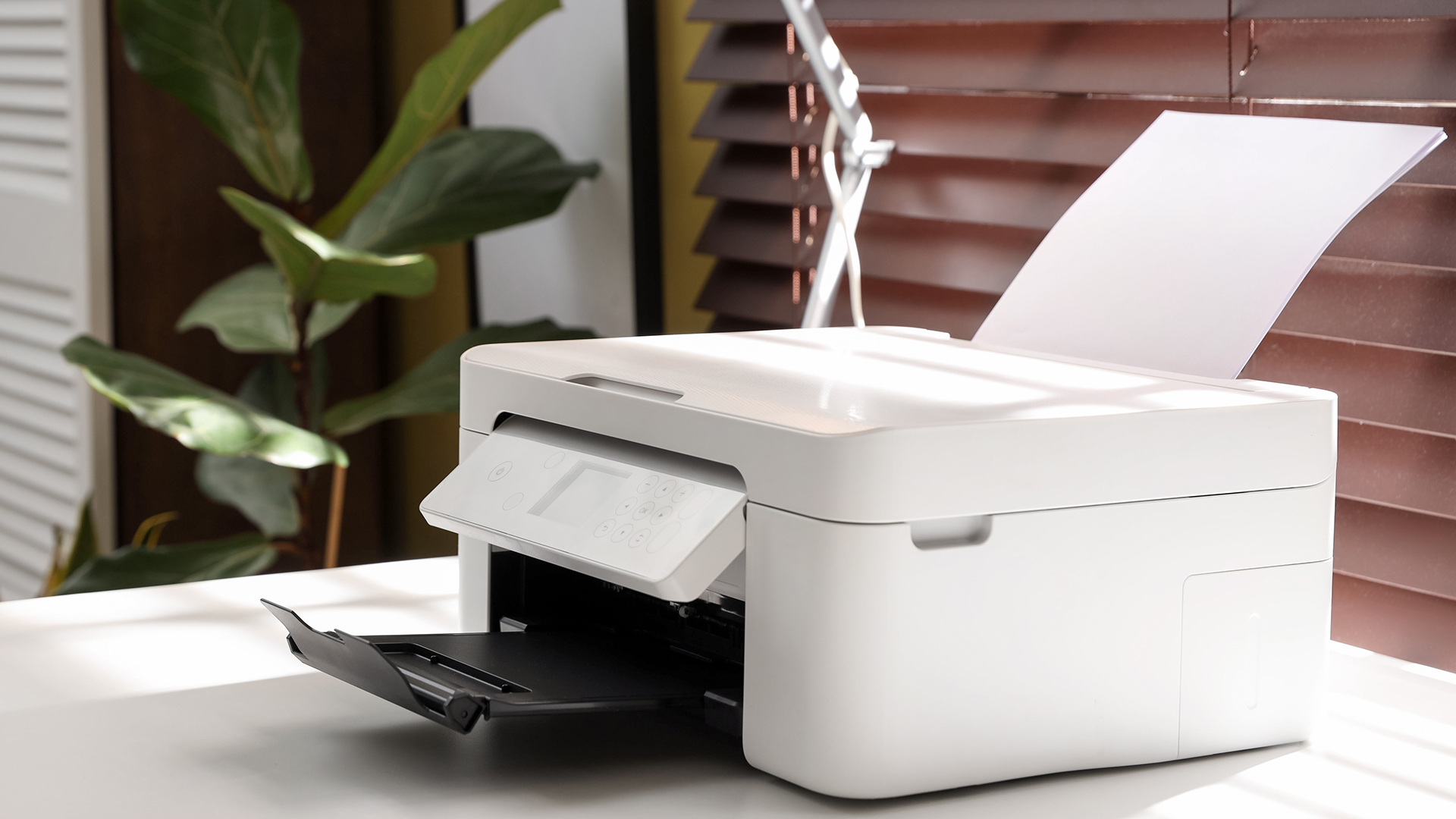 How to Set Up an Office Printer